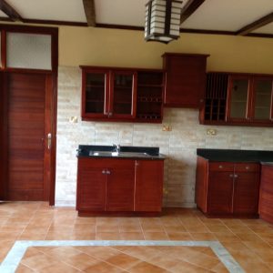 kitchen cabinet-nzusifurnture.com